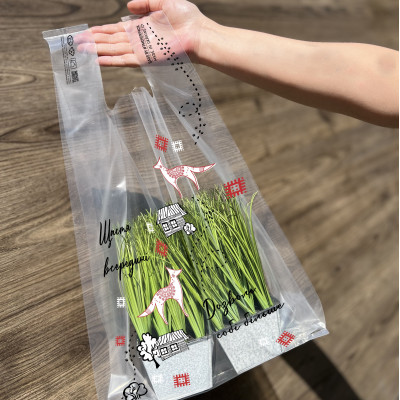 Torba typu koszulka 34х57 cm, 51 mikronów LDPE, seria Ethno