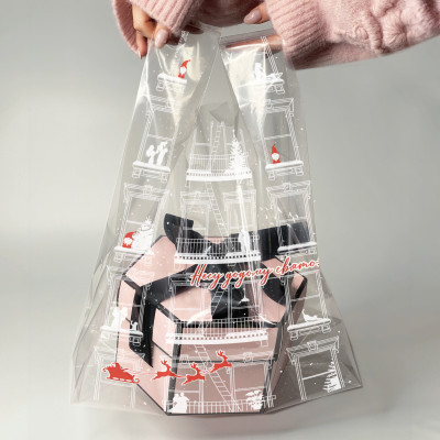 Новорічний пакет майка "Несу додому свято"