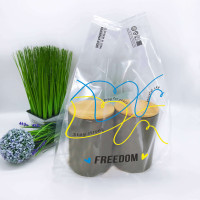 T-Shirt plastic bag, 25(2х6)х40см, 51 µm, (50 pieces.), LDPE food packages, transparent, "FREEDOM"