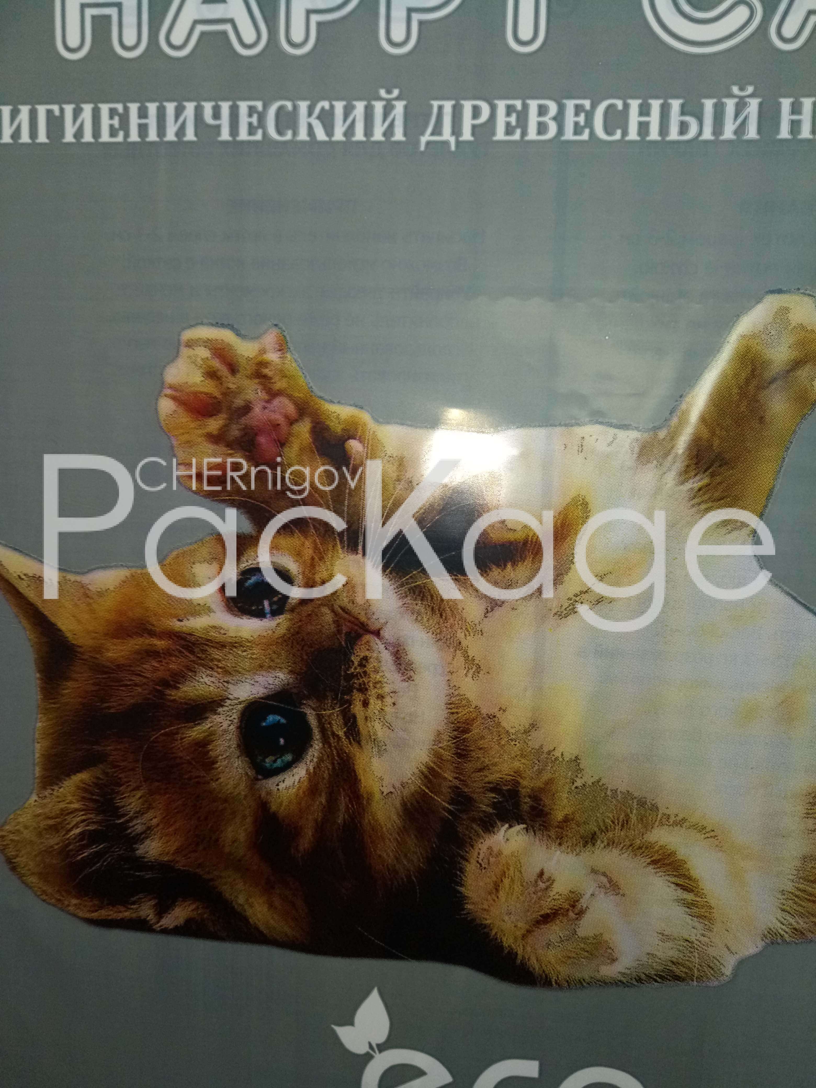 Как создается дизайн пакета Chernigov Package - Photo P70310-110443
