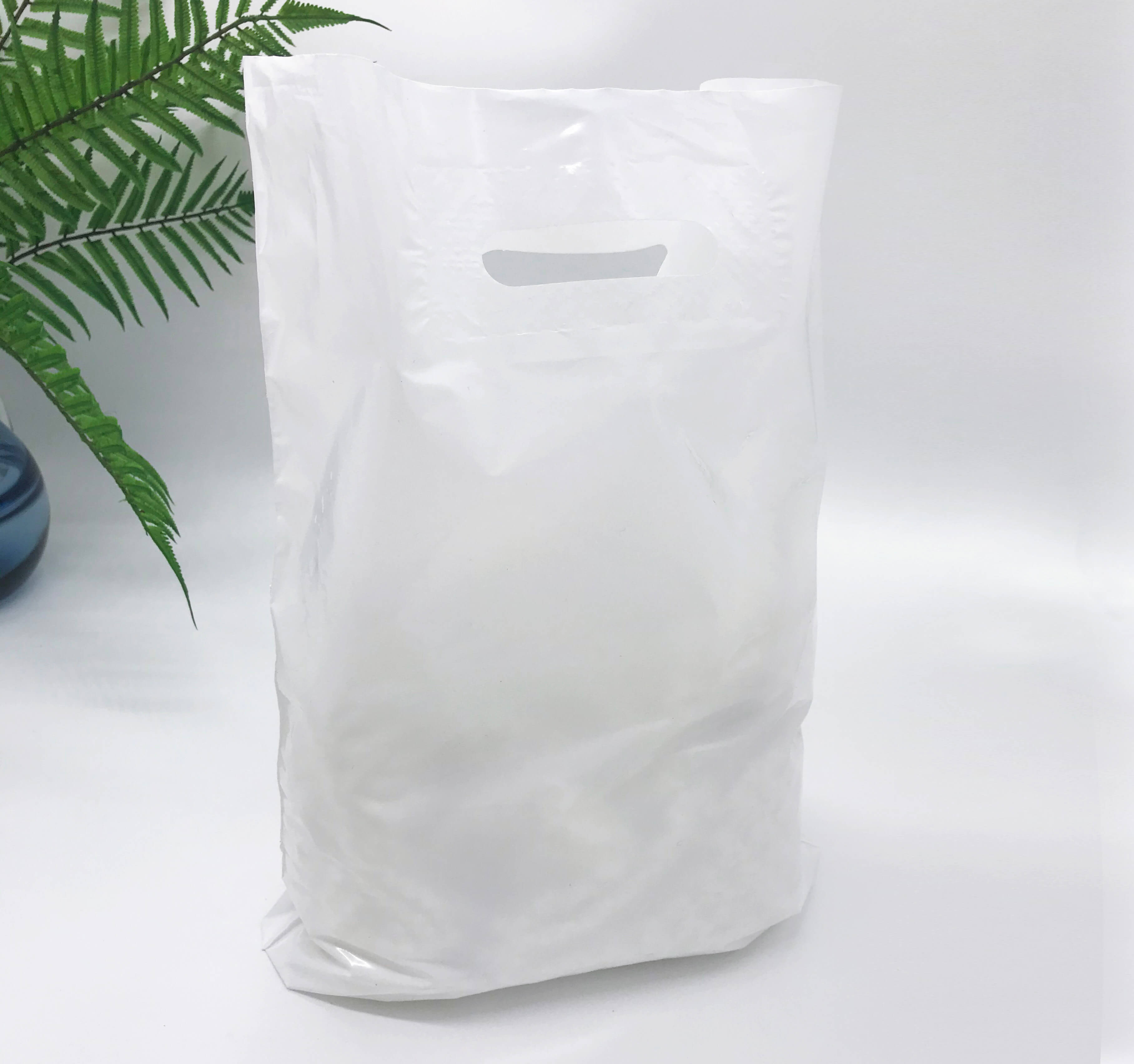 Patch handle bag 300*400 mm, without printing, LDPE A6, WHITE Chernigov Package - Photo 30х40_белый1